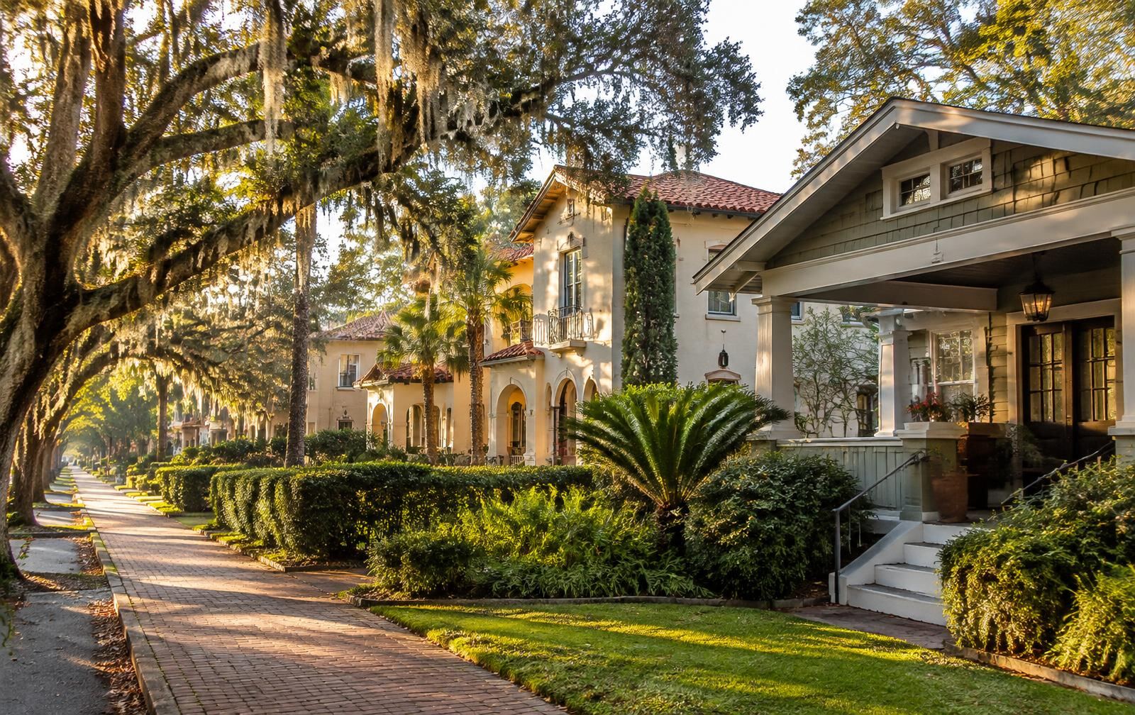 Representative historic oak-lined residential street like those found in Avon Park, Florida