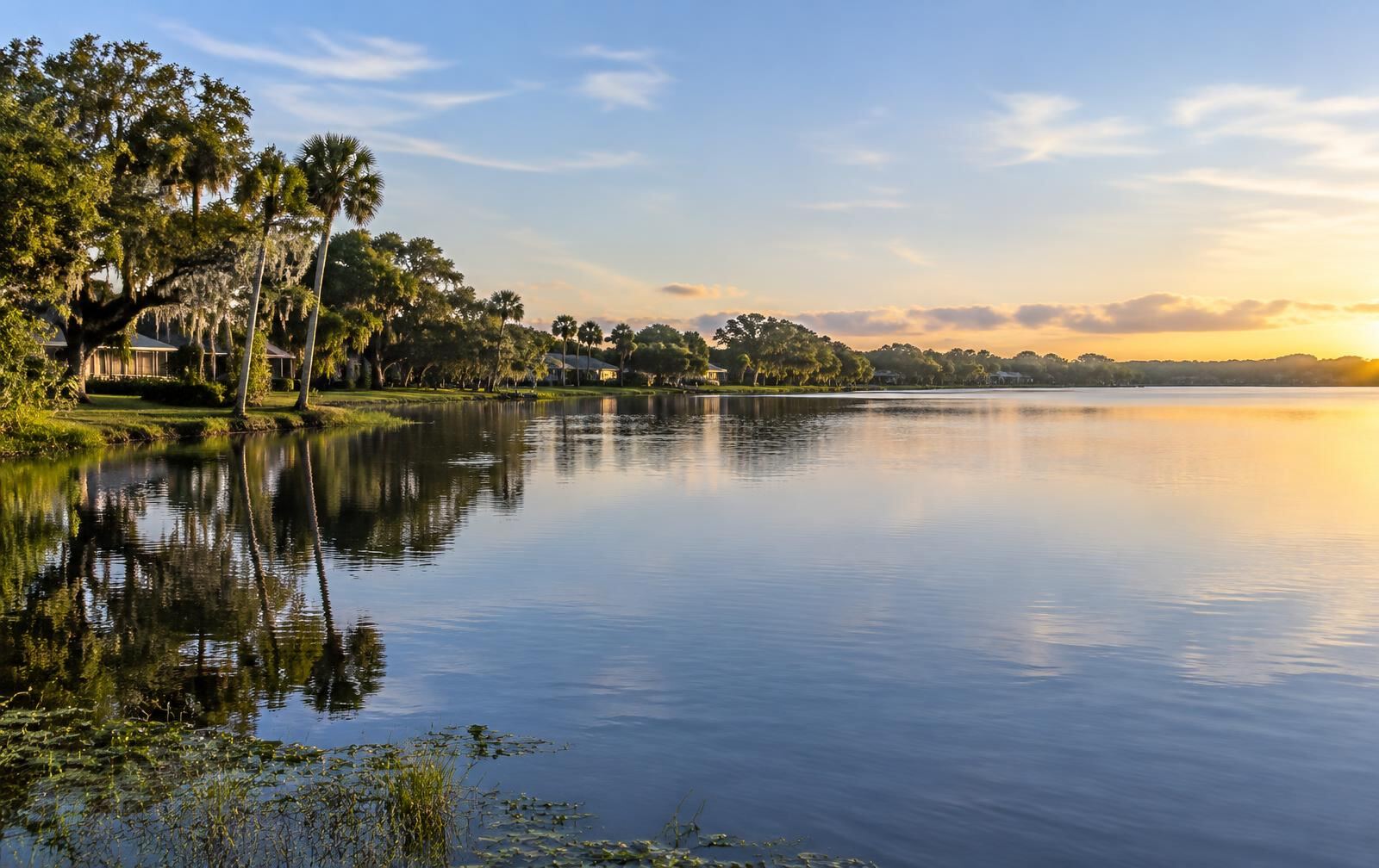 Representative calm lake with oak- and palm-lined shore in the Sebring, Florida area
